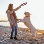 Woman playing a game with Golden Retriever on beach