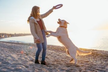 Woman playing a game with Golden Retriever on beach