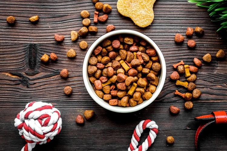 Dog food in bowl on wooden background