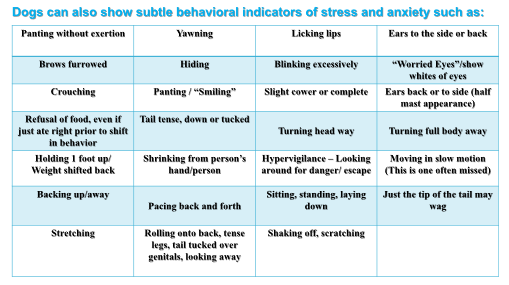 Table 2 - Indicators of STress and Anxiety