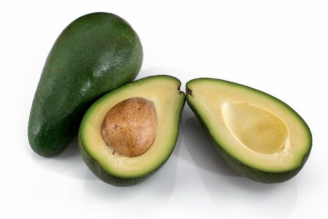 can dogs eat avocado?