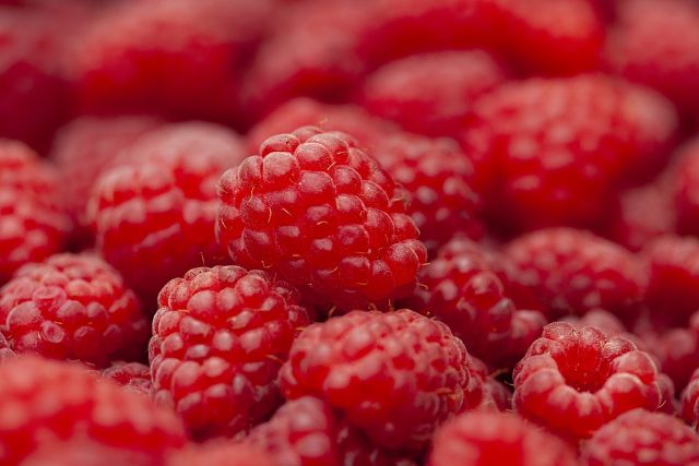 can dogs eat raspberries?