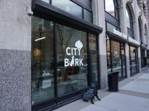 City Bark Pet Store