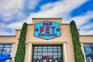 p and f pet provisions pet store
