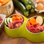 Dog bowl filled with zucchini, veggies, and meat