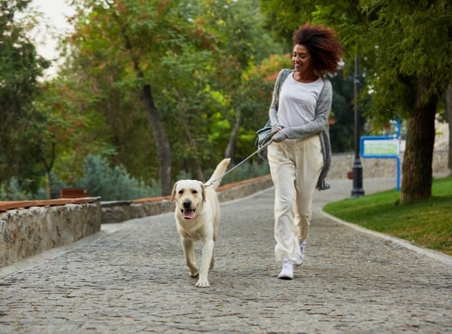 Woman walking her dog on a leash outdoors