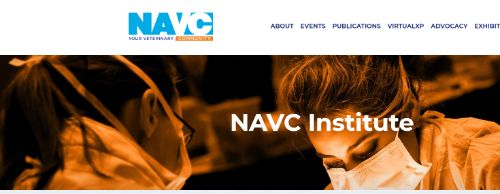 NAVC Institute