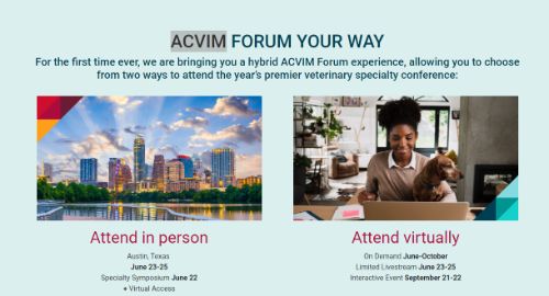 ACVIM Forum