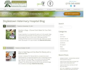 Doylestown Veterinary Hospital Blog