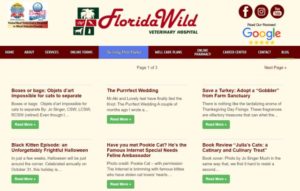 Florida Wild Veterinary Hospital Blog