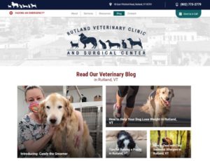 Rutland Veterinary Clinic Blog