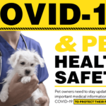 are your pets at risk with coronavirus