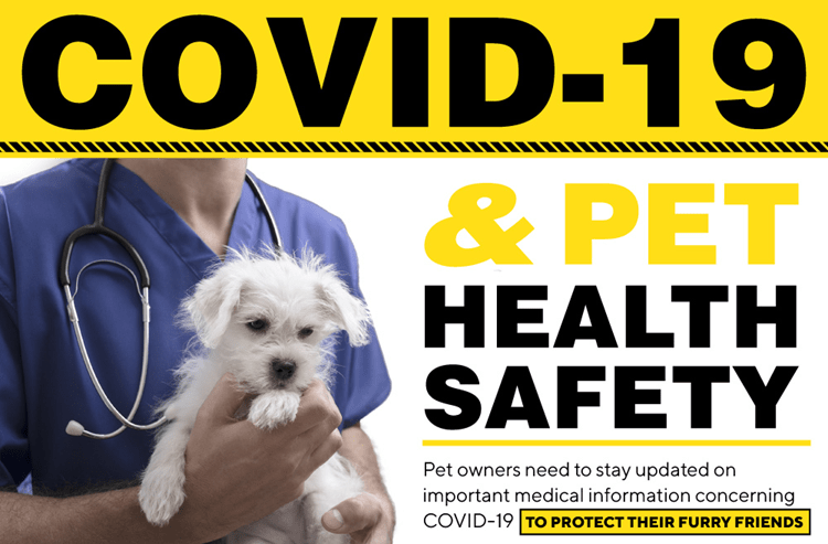 A veterinary doctor with a stethoscope around his neck is holding a shaggy white puppy in his arms. He is standing next to words about COVID-19 and pet health safety, also saying that pet owners need to stay updated on important medical information concerning COVID-19 to protect their furry friends.
