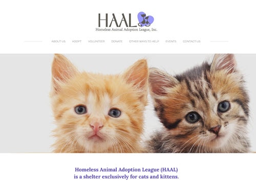 Homeless Animal Adoption League (HAAL)