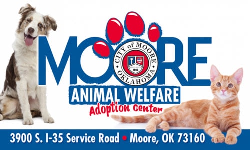 Moore Animal Shelter and Adoption Center