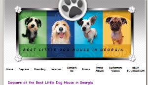 Best Little Dog House in Georgia