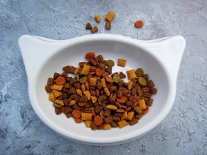 bowl of dry cat food/kibble