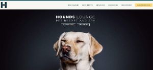 Hounds Lounge Pet Resort and Spa