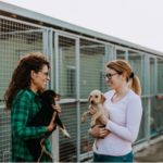 Two women adopting dogs from an animal shelter
