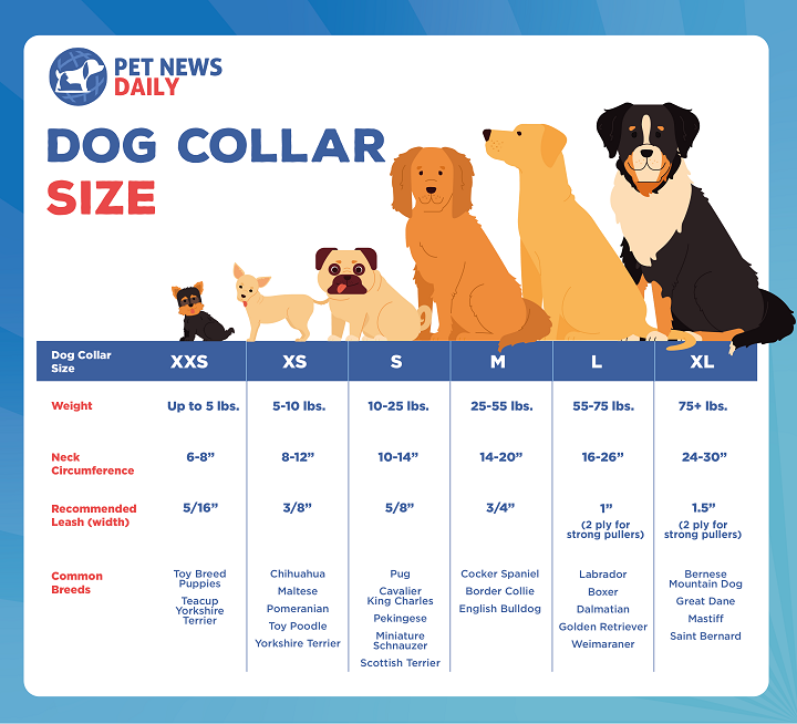 Dog Collar Size Chart by Weight and Breed