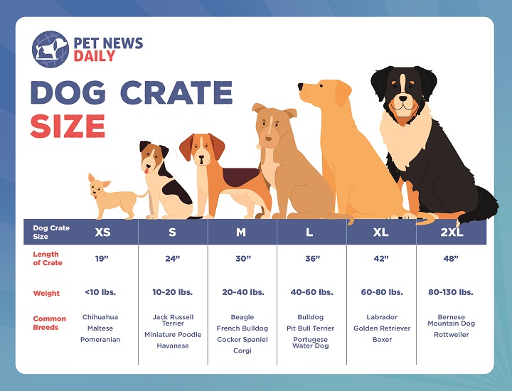 Dog Crate Size Chart
