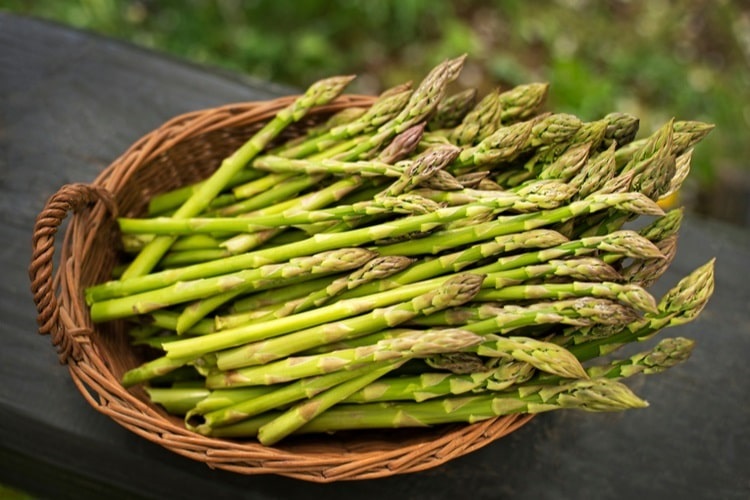 Basket of asparagus