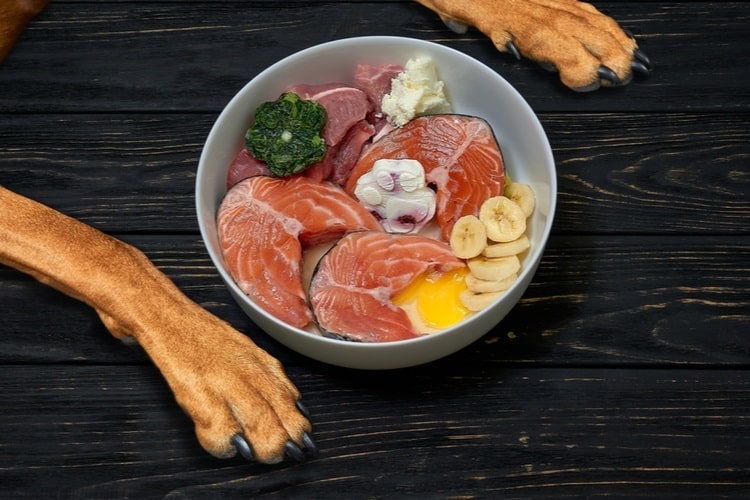 Dog bowl filled with salmon and other fresh foods