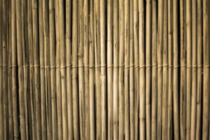 bamboo dog fence