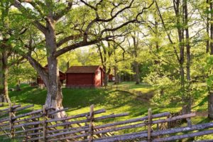 natural dog fence red cabin country setting