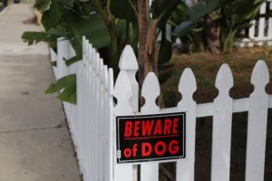 Wood Picket Dog Fences