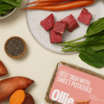 Ollie Dog Food ingredients