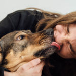 Picture of a dog licking a face - why do they do it?
