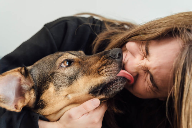 why-do-dogs-lick-your-face-the-answer-may-surprise-you-pet-news-daily