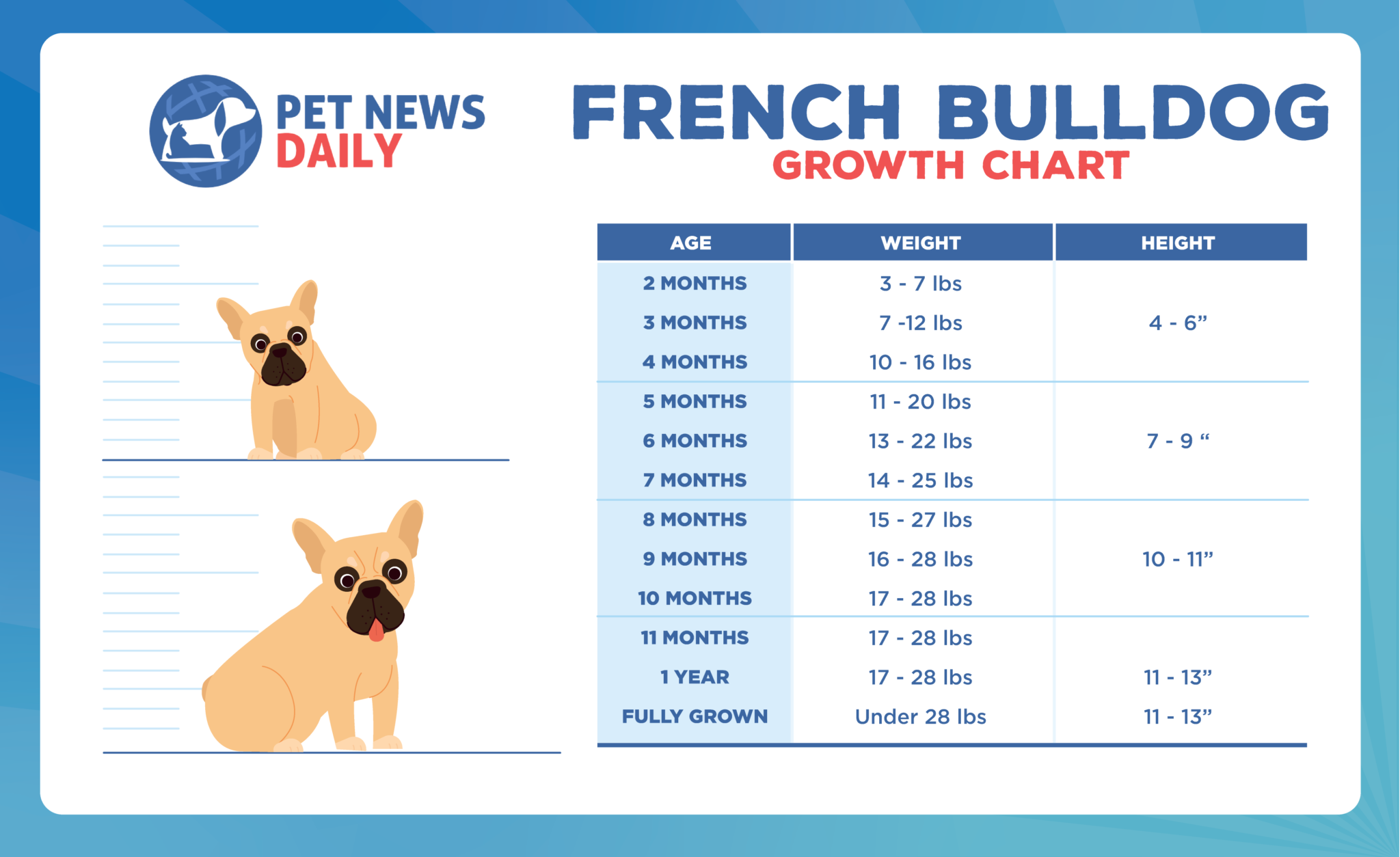 French Bulldog Weight Chart