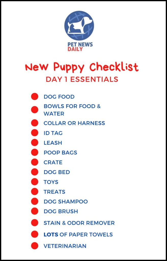 Picture of the new puppy day 1 checklist
