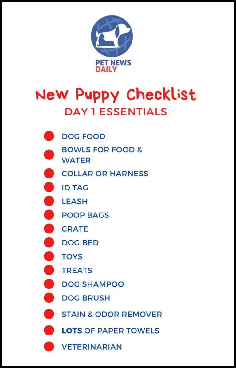 New Puppy Checklist (the Only One You Need) - Pet News Daily