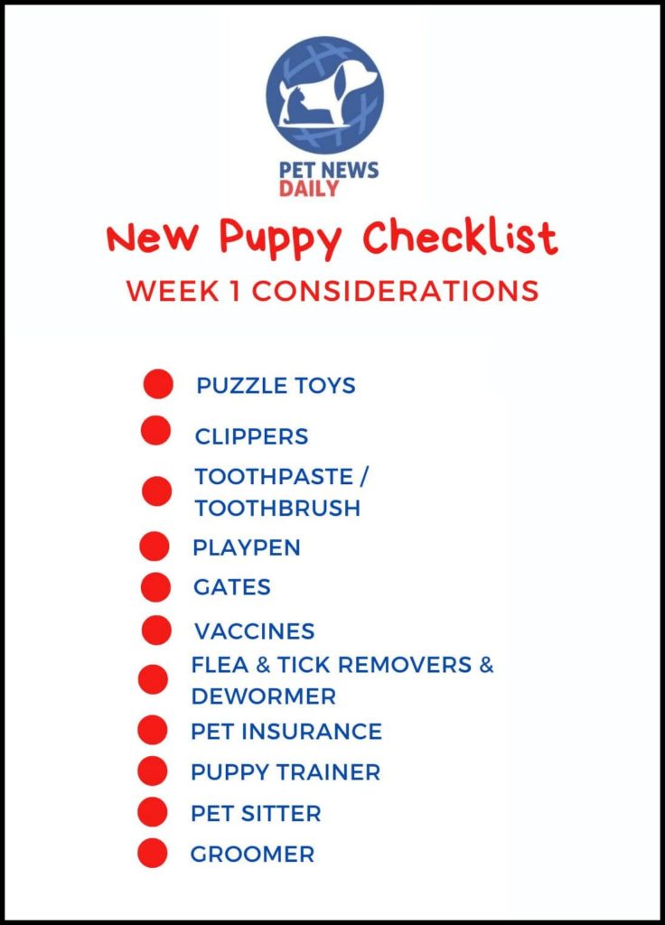 New puppy week 1 checklist