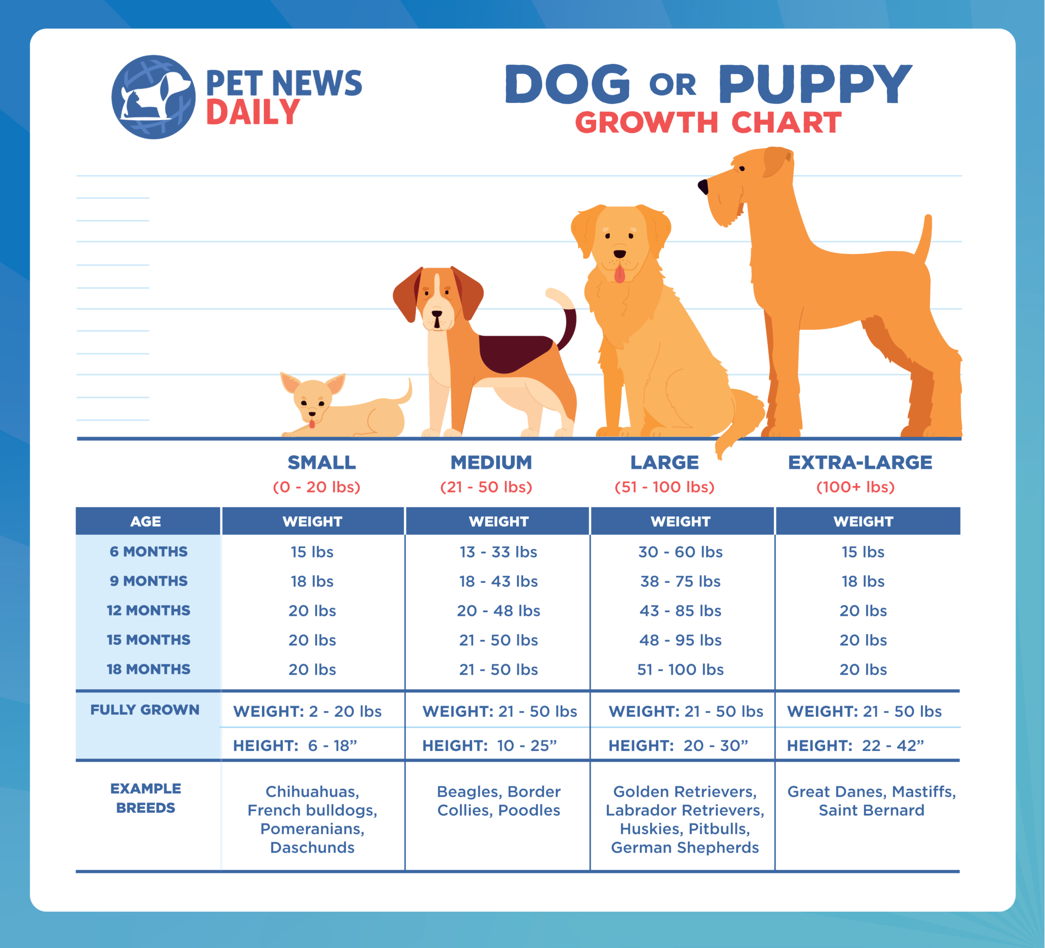 Dog (or Puppy) Growth Chart How Big Will Your Puppy Get? Pet News Daily