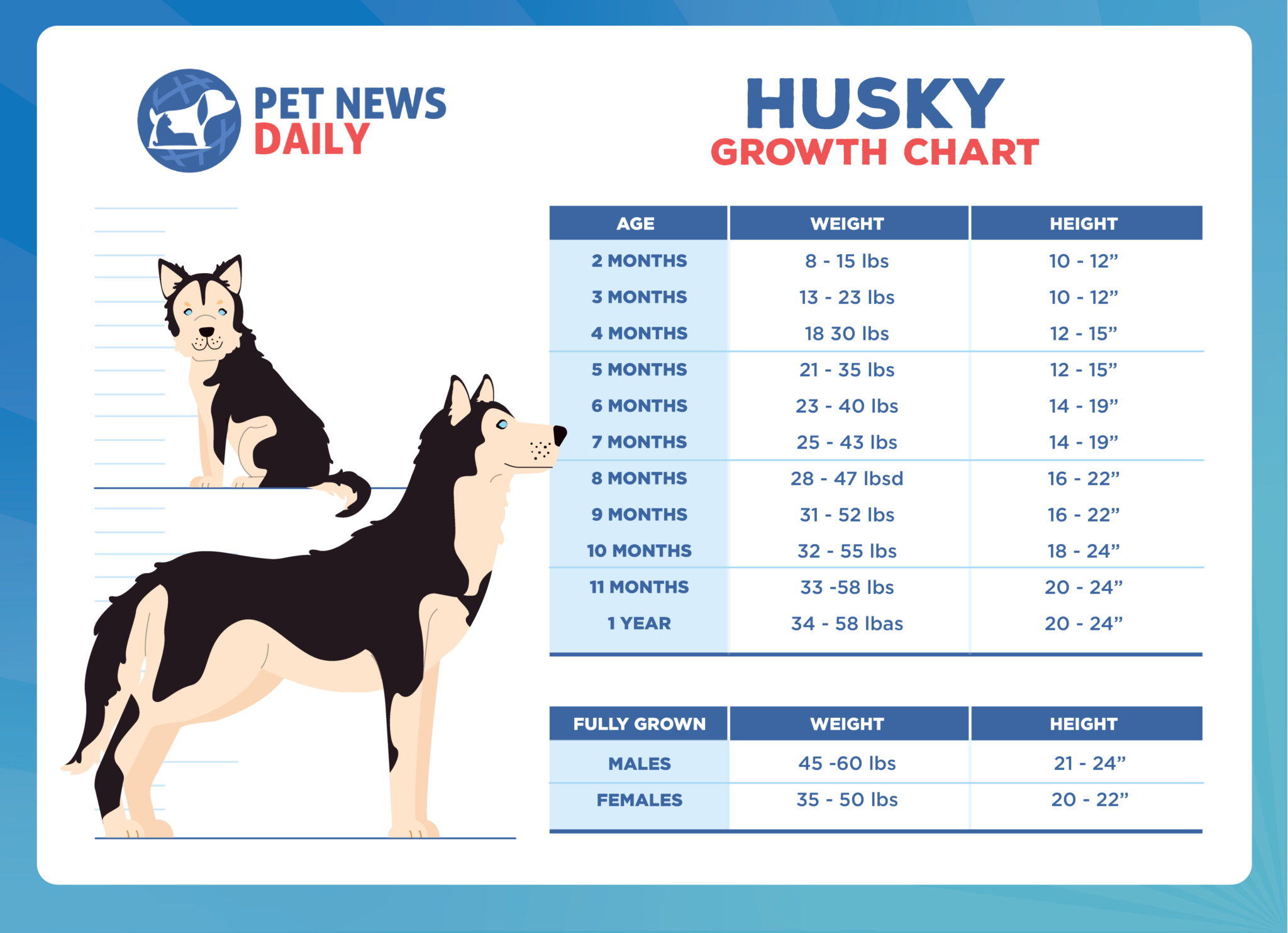 Husky Size And Weight