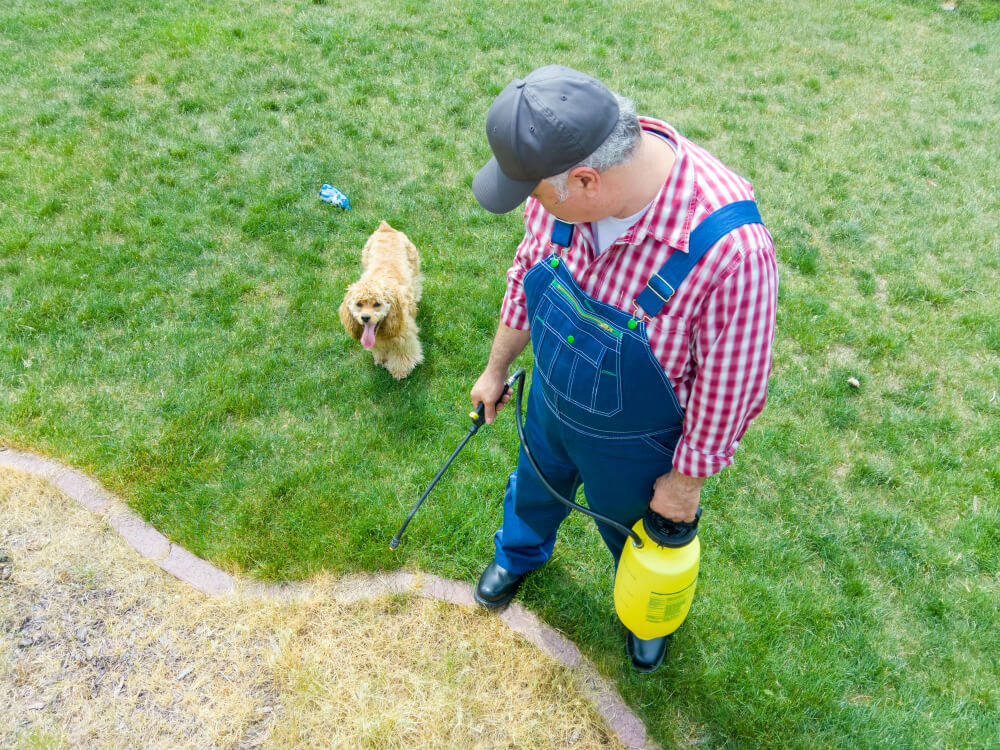 Is weed killer safe for your pets?
