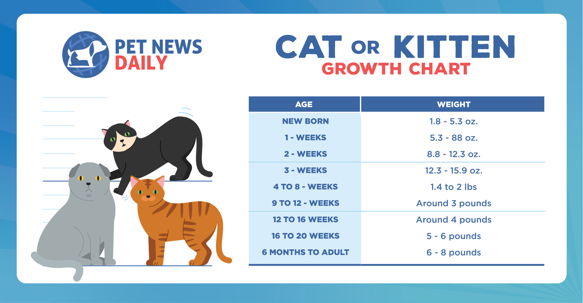 Kitten and Cat Growth Chart - Pet News Daily