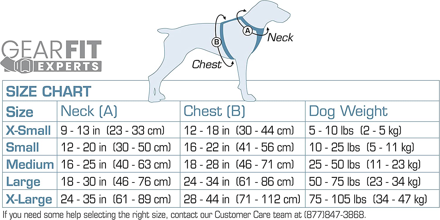 The Best Dachshund Harness (For Every Use)