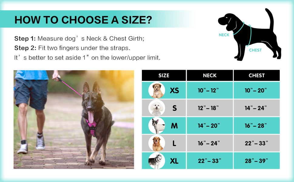 Image of Poypet harness size chart