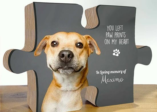 pet memorial for the grieving process