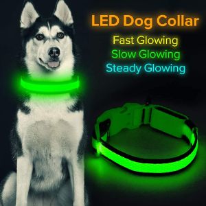 HiGuard LED Dog Collar