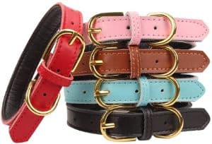 AOLOVE Basic Classic Padded Leather Pet Collar