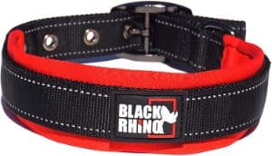 Black Rhino - The Comfort Collar