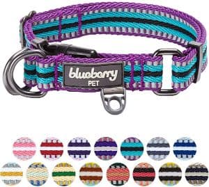 Blueberry Pet 15 Colors Safe & Comfy 3M Reflective Multi-Colored Stripe Collection