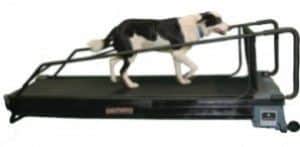 GAIT4Dog® DogTread Instrumented Treadmill  – Gait Diagnostic Tool