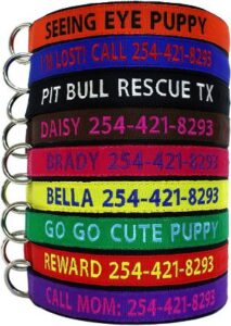 Go Go Cute Puppy Personalized Dog Collar